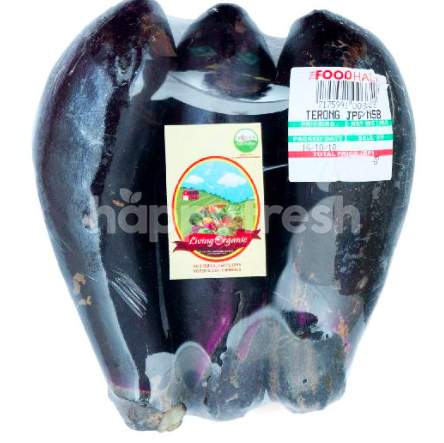 Living Organic Nasubi / Terong Jepang