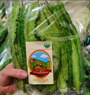 Living Organic Kecipir