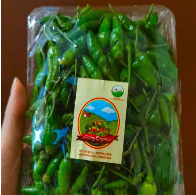 Living Organic Cabe Rawit Hijau